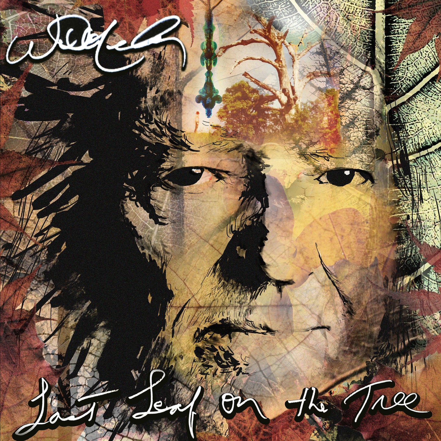 Willie Nelson – Last Leaf On The Tree