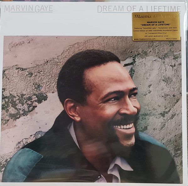 Marvin Gaye – Dream Of A Lifetime