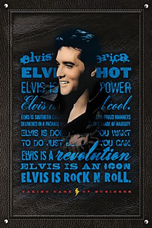 Elvis Presley-  Rock N Roll